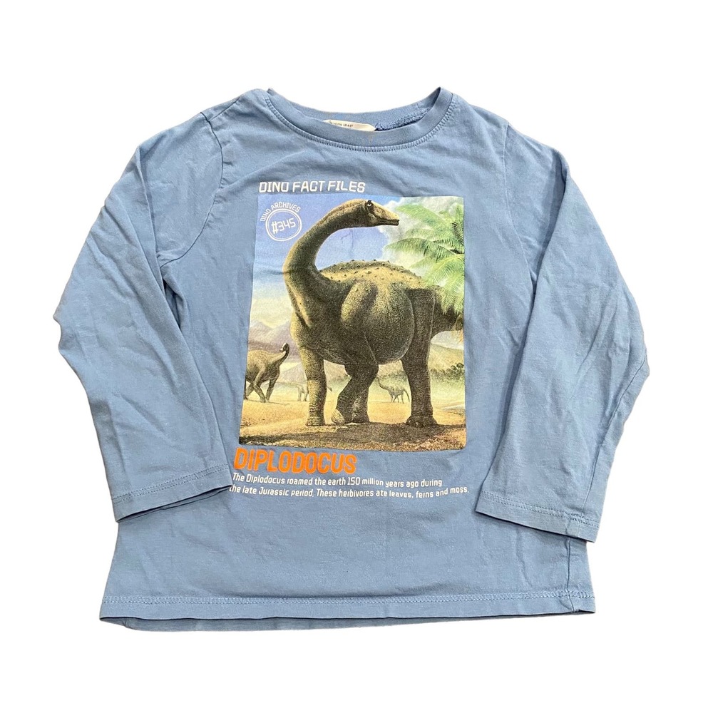 H&M Dinosaur Graphic Tee